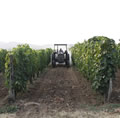 Agriturismo